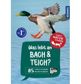 Kindernaturführer Was lebt an Bach und Teich