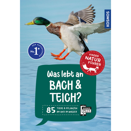 Kindernaturführer Was lebt an Bach und Teich