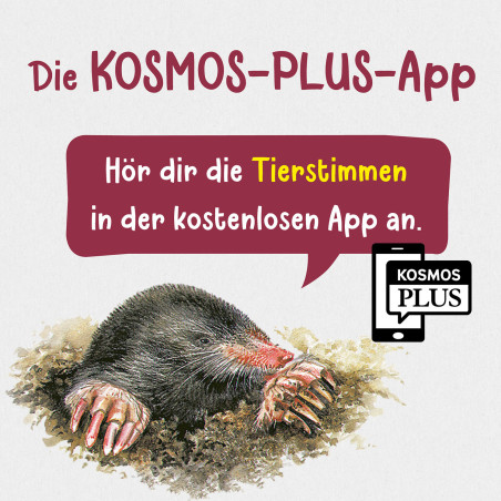 Kindernaturführer Was lebt im Garten?