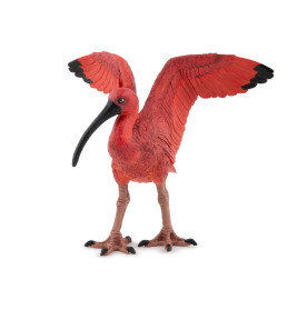 Roter Ibis