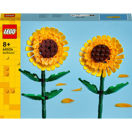 40524 Sonnenblumen