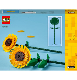 40524 Sonnenblumen