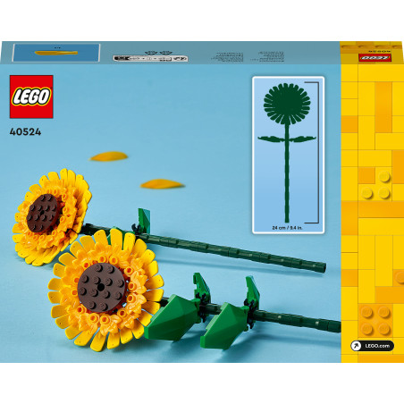 40524 Sonnenblumen