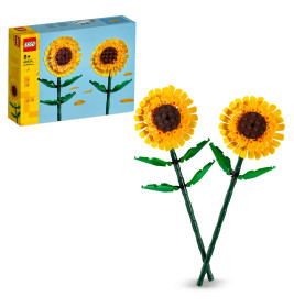 40524 Sonnenblumen