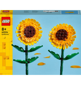 40524 Sonnenblumen