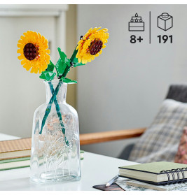 40524 Sonnenblumen