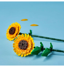 40524 Sonnenblumen