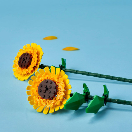 40524 Sonnenblumen