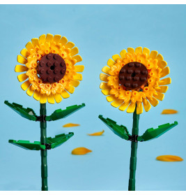 40524 Sonnenblumen