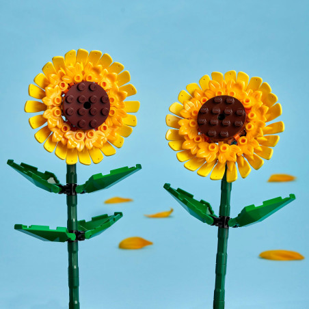 40524 Sonnenblumen