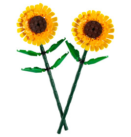 40524 Sonnenblumen