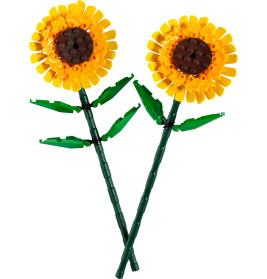 40524 Sonnenblumen