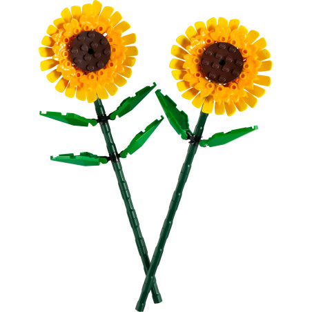 40524 Sonnenblumen