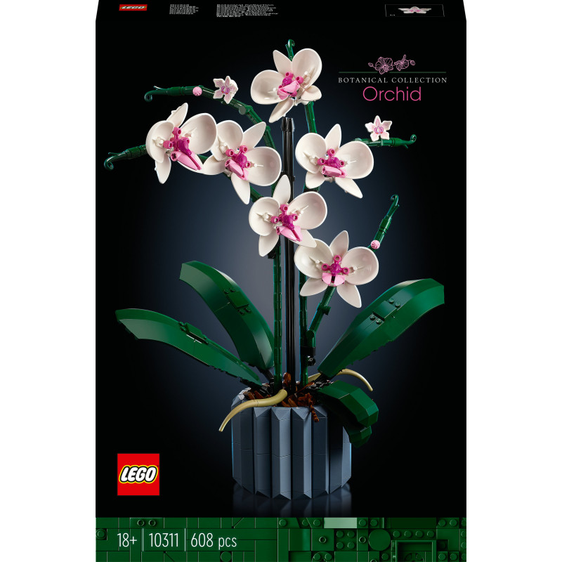 10311 Orchidee