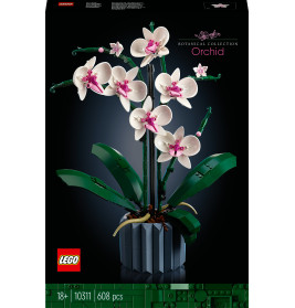 10311 Orchidee