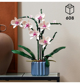 10311 Orchidee