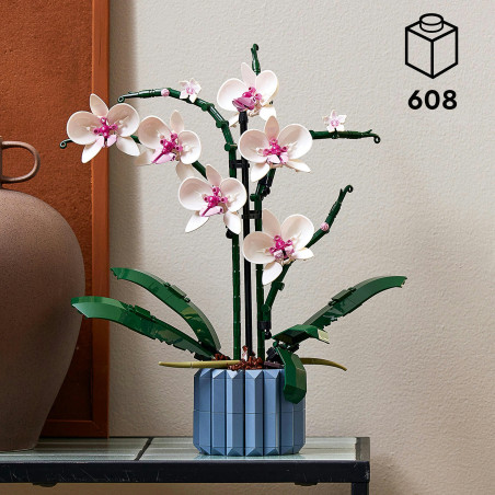 10311 Orchidee