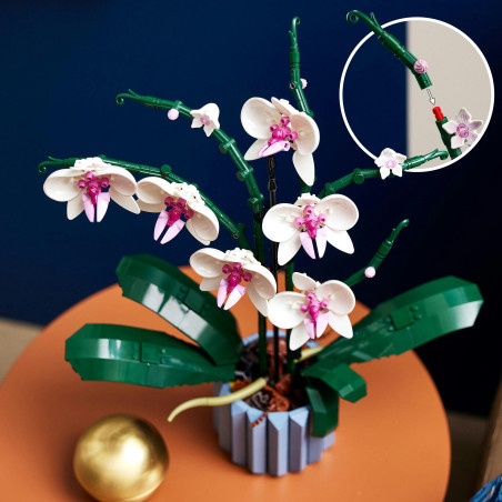 10311 Orchidee