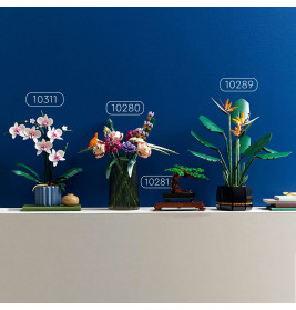 10311 Orchidee