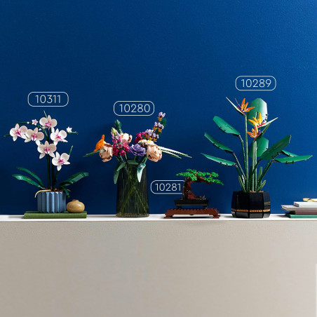 10311 Orchidee