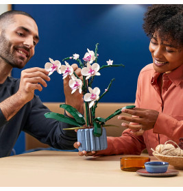 10311 Orchidee