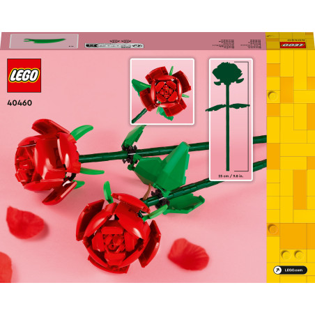 40460 Rosen