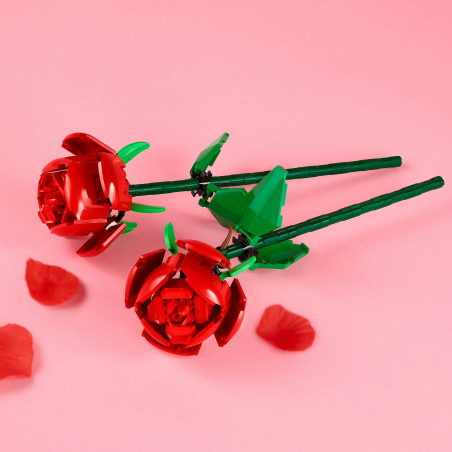 40460 Rosen