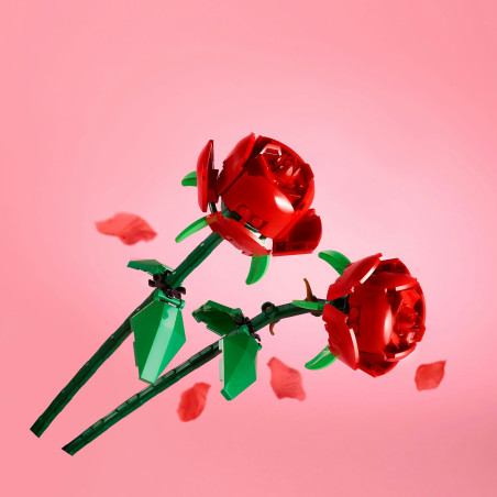 40460 Rosen