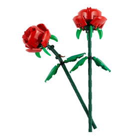 40460 Rosen