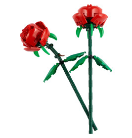 40460 Rosen