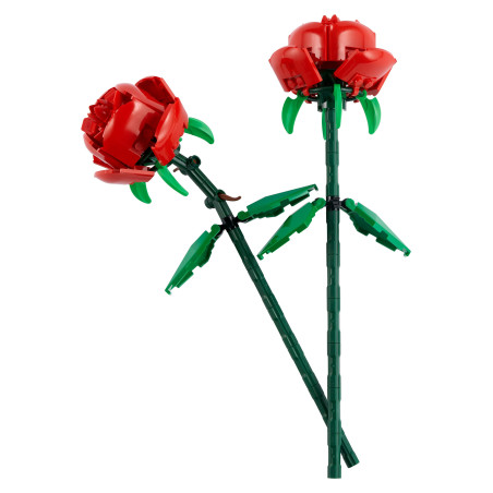 40460 Rosen