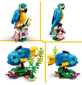 31136 Exotischer Papagei