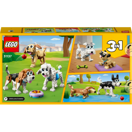 31137 Niedliche Hunde