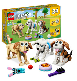 31137 Niedliche Hunde
