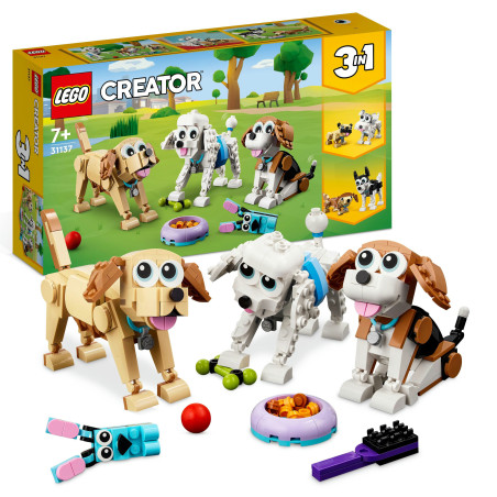31137 Niedliche Hunde