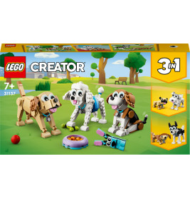 31137 Niedliche Hunde