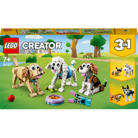 31137 Niedliche Hunde