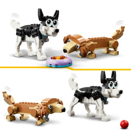 31137 Niedliche Hunde