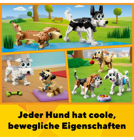 31137 Niedliche Hunde