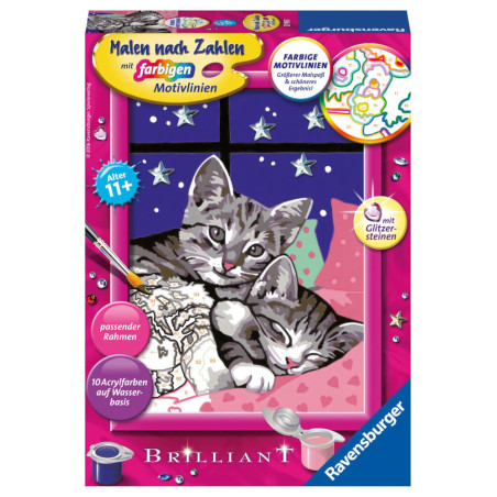 Ravensburger Malen-nach-Zahlen-Set mit zwei grau getigerten Kätzchen am Fenster mit Sternen auf der Verpackung.