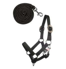 Schwarzes Halfter und passender Führstrick mit Metallbeschlägen auf weißem Hintergrund.