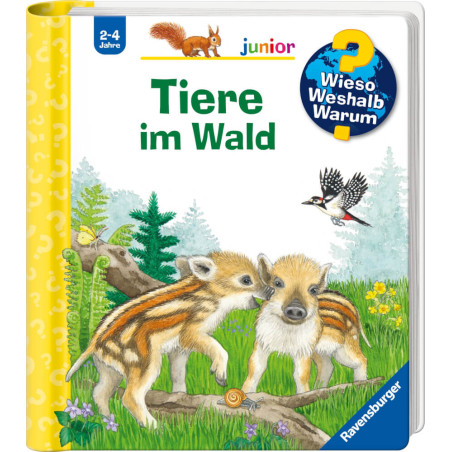Buchcover: Zwei junge Wildschweine im Wald, fliegender Vogel, Titel Tiere im Wald.