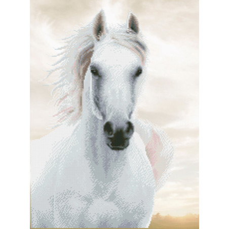 Ein weißes Pferd mit wehender Mähne steht vor einem sanft bewölkten Himmel.
