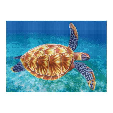Diamond Painting Meeresschild kröte Diamond Painting Meeresschild kröte