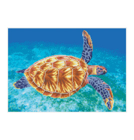 Diamond Painting Meeresschild kröte