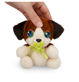 Baby Paws Mini