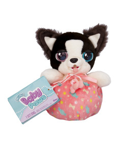 Baby Paws Mini