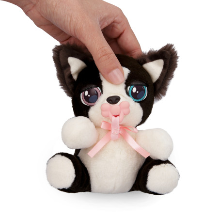 Baby Paws Mini