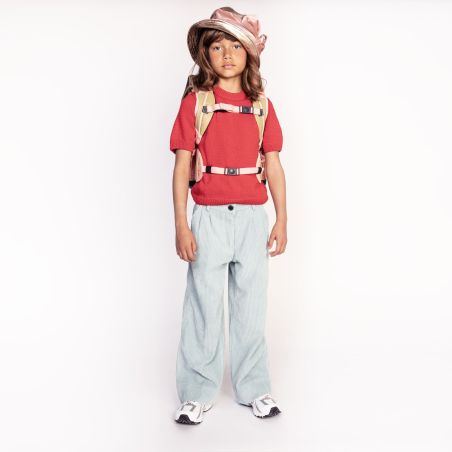 Ergomaxx Pet-a-Porter