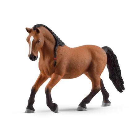 Lipizzaner Stute SP